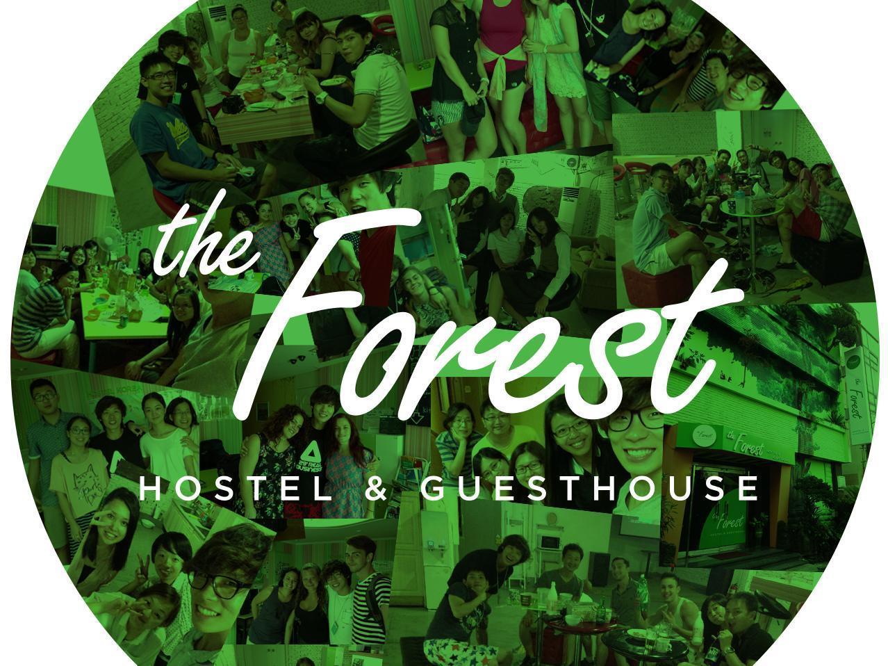 The Forest Hostel Jeju Exterior photo